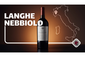 Langhe Nebbiolo : Présentation du petit frère du Barolo