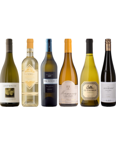 8Wines Sélection du personnel Cas de dégustation de vin blanc