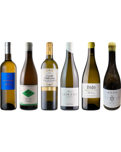 Vin blanc Espagnol Caisse de dégustation Premium