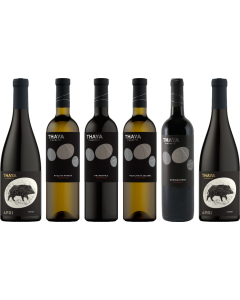 Caisse de dégustation Premium Thaya Decanter Selection