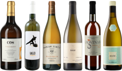 Caisse de dégustation de vin orange Premium