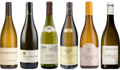 Caisse de dégustation de bourgogne blanc