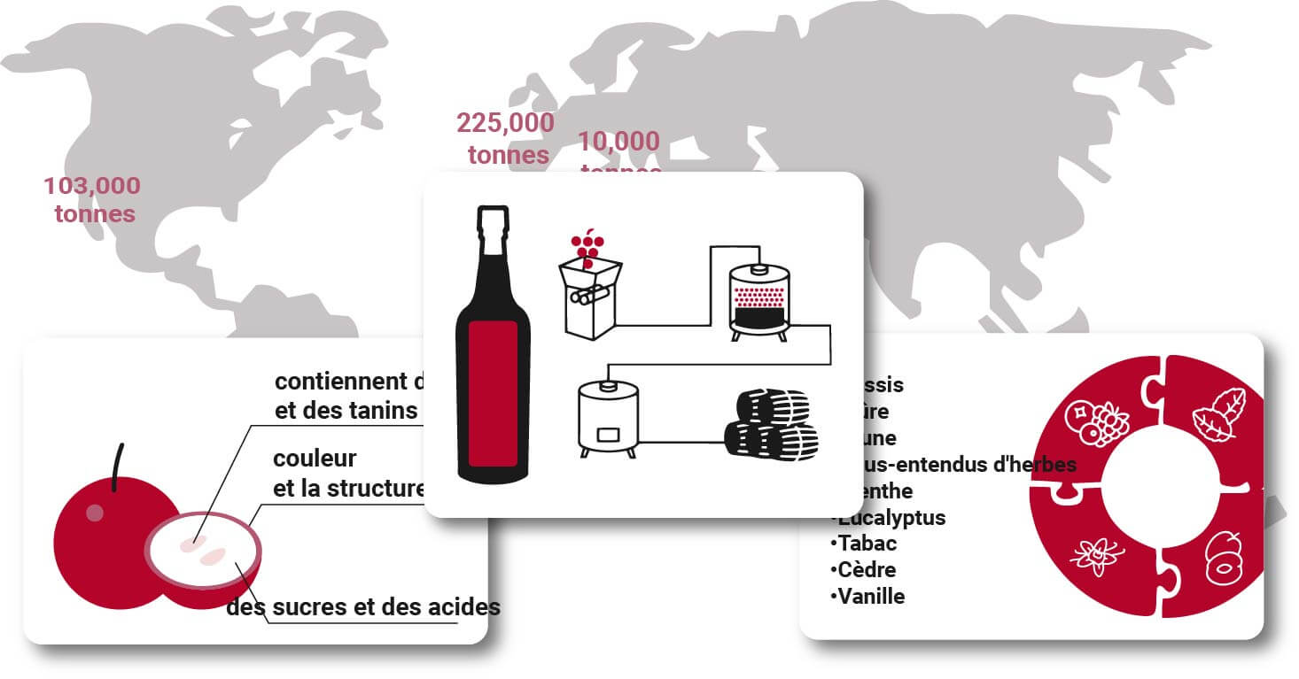 Guide du Cabernet Sauvignon Le tour du monde
