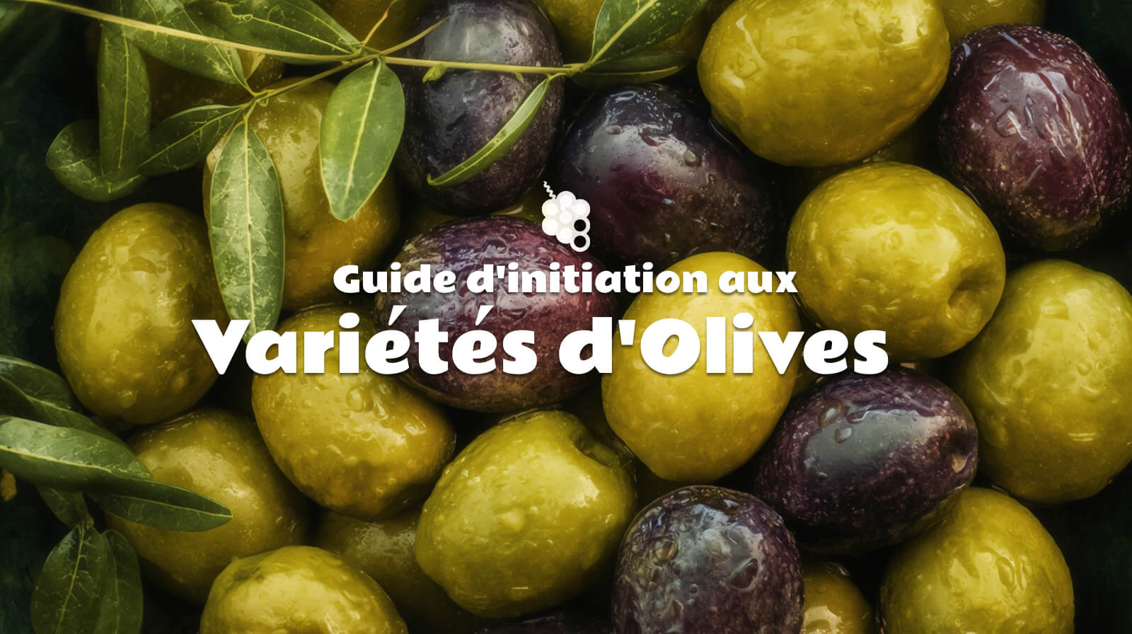 Guide des variétés d'olives pour les débutants : Quel est le goût de chacune d'entre elles et comment les choisir