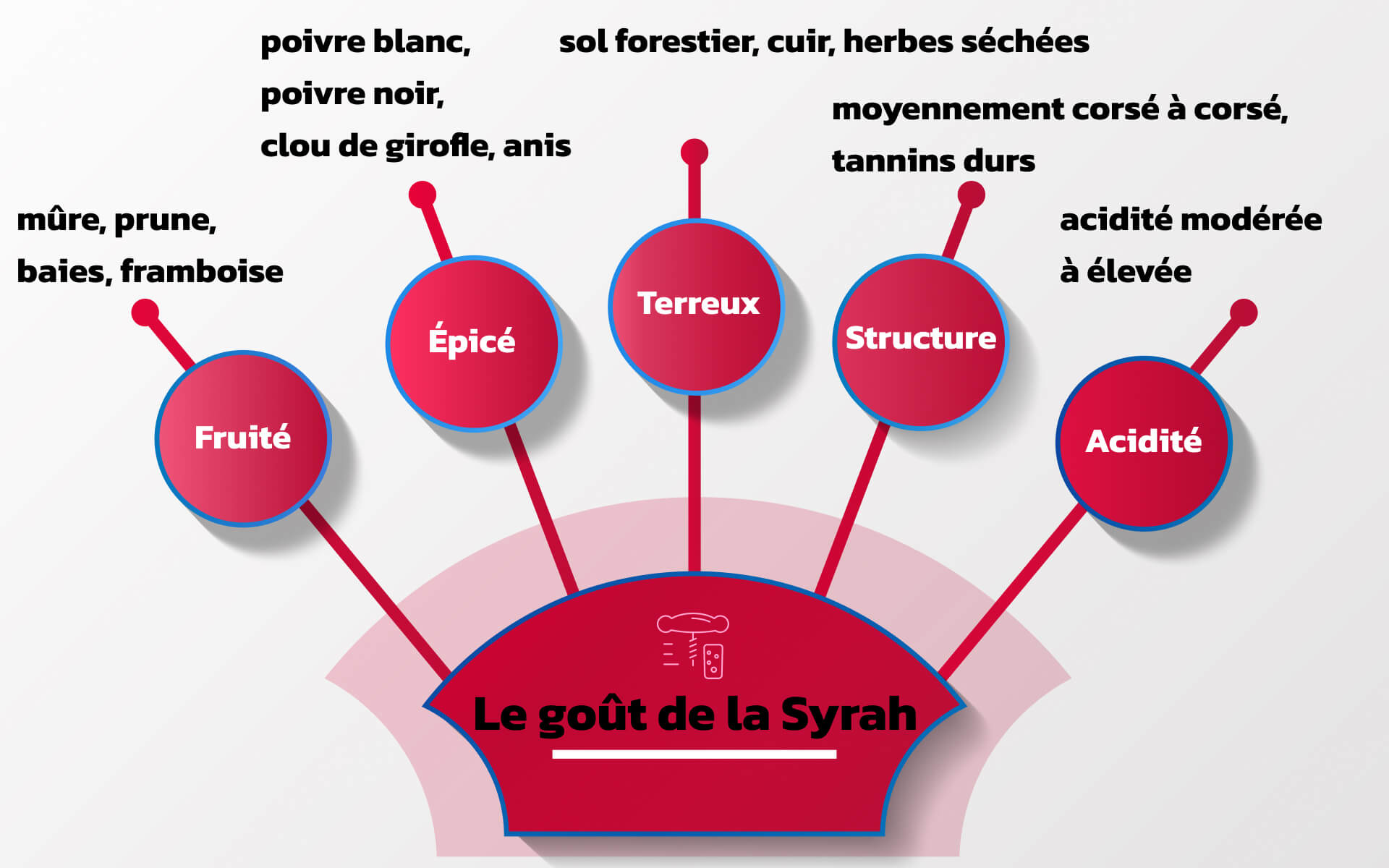 Le goût de la Syrah