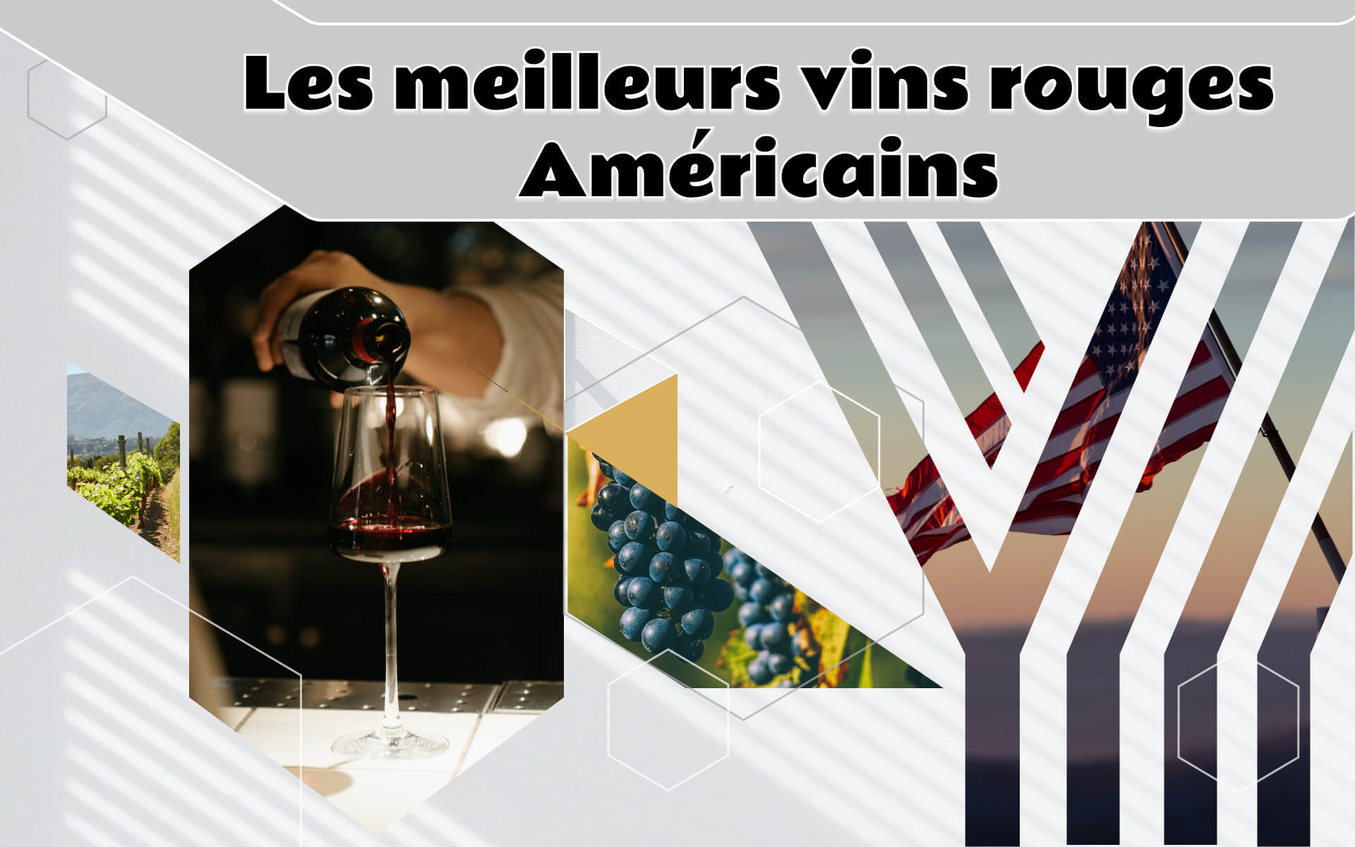 Vins rouges californiens de qualité supérieure à essayer cette saison