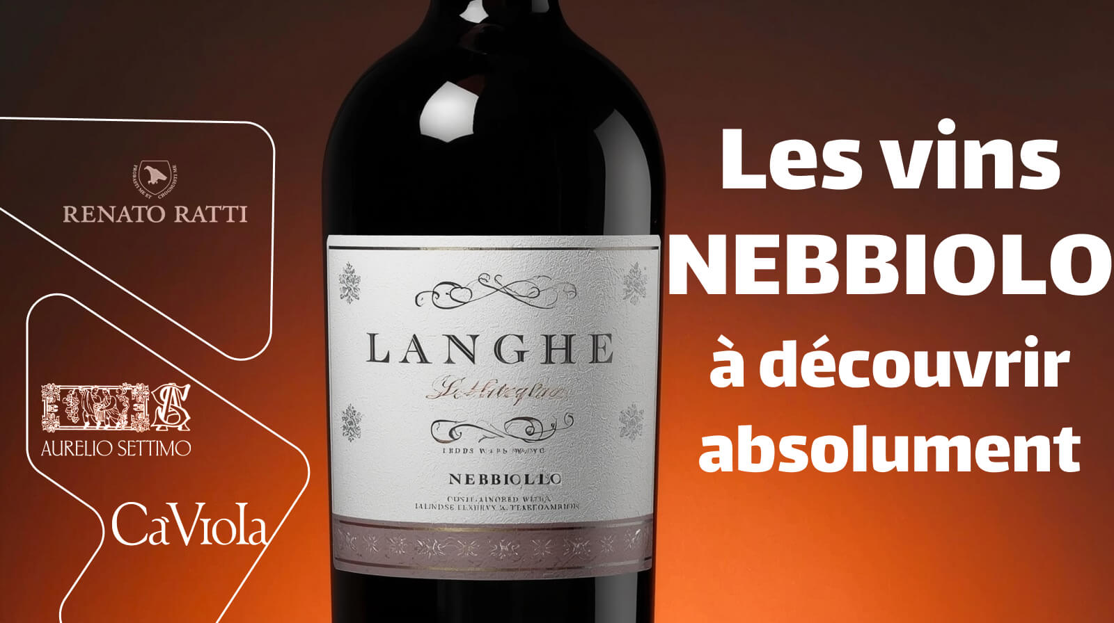 Les vins NEBBIOLO à découvrir absolument