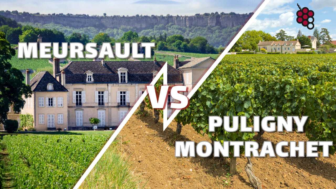 Le rôle clé du terroir : Meursault vs Puligny Montrachet et ce qui rend ces vins si uniques