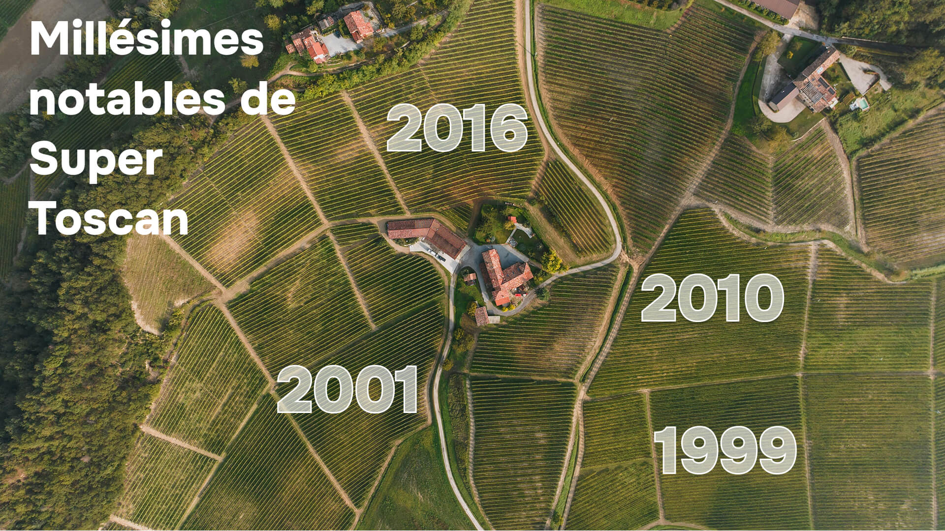 Millésimes notables de Super Toscan